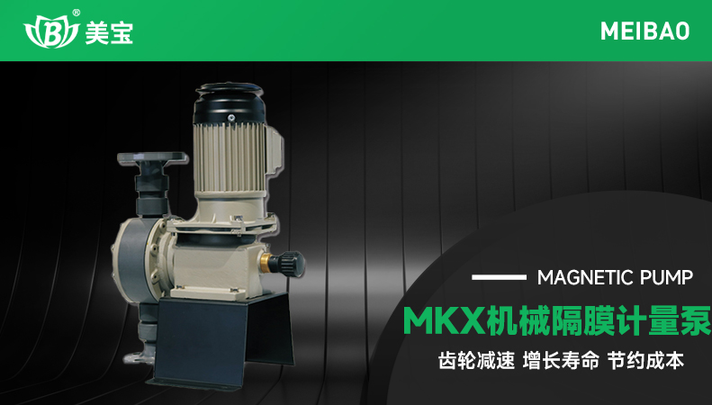 MKX机械隔膜计量泵